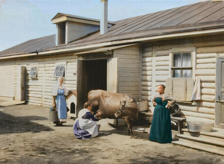 Автор:Булла К.К.