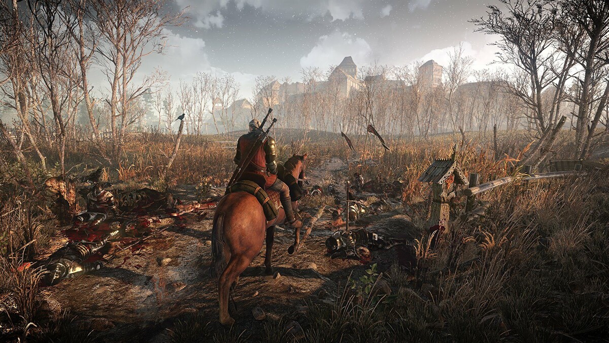 The Witcher 3: Wild Hunt (2015). Источник: изображение взято в свободном доступе из интернета (Яндекс.Картинки).