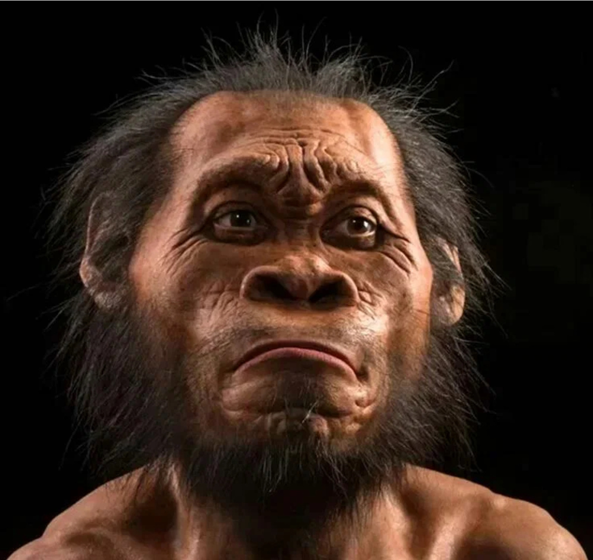 Троглодит это звучит гордо, жил в полном согласии с природой