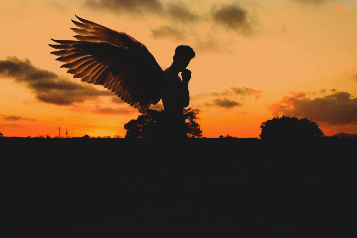 фото из интернета