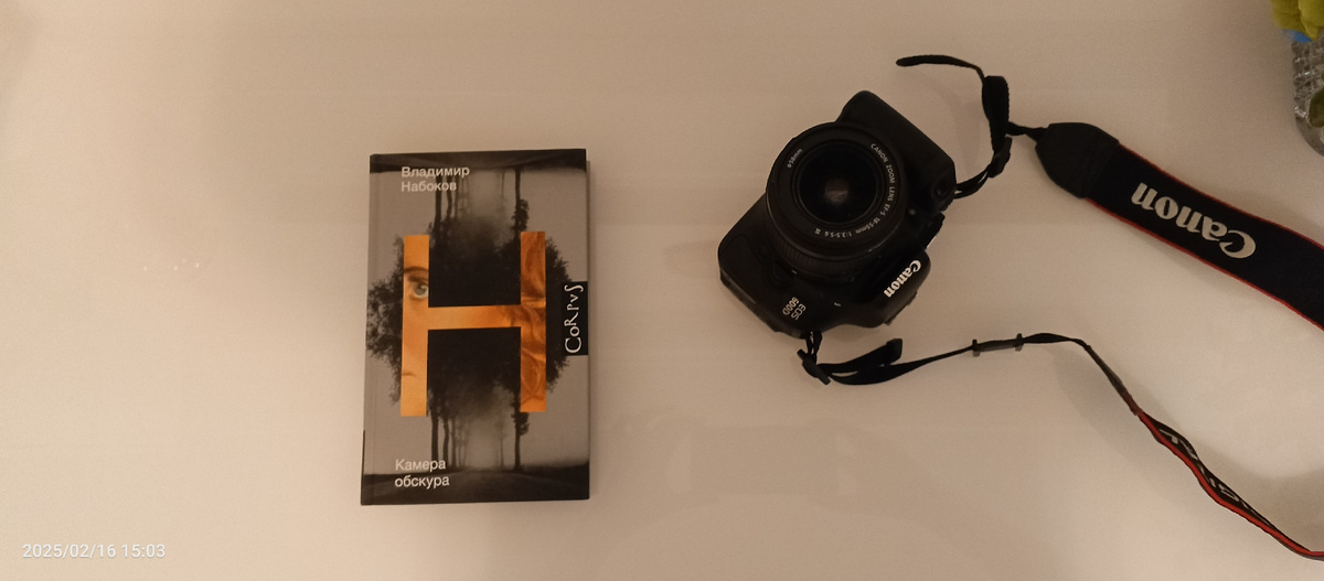 Книга «Камера обскура» Владимира Набокова | книжный блог «читаю, дичаю»