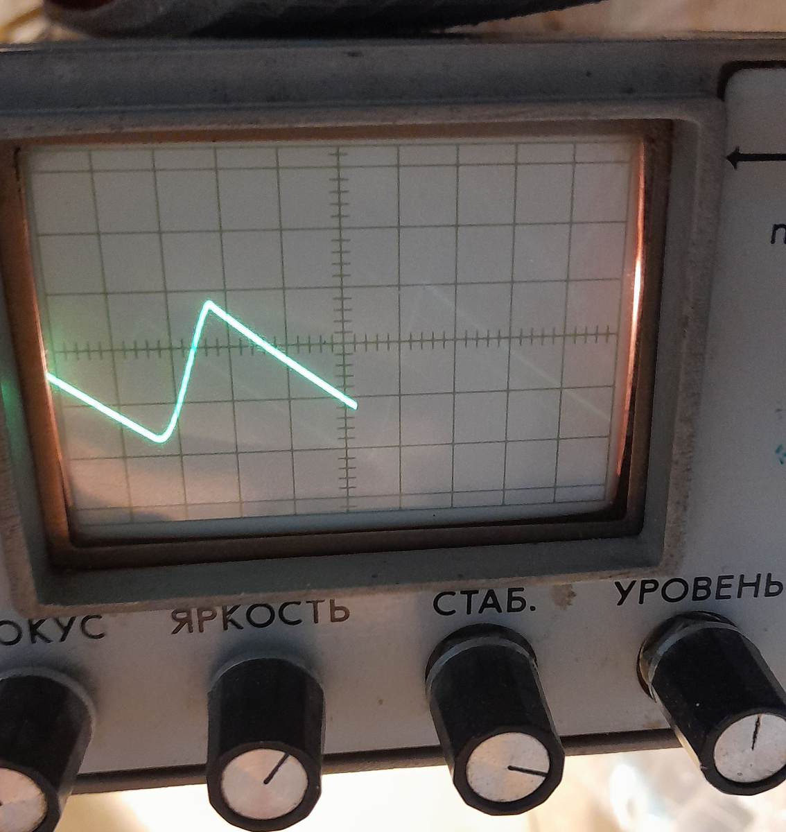 Фото автора.