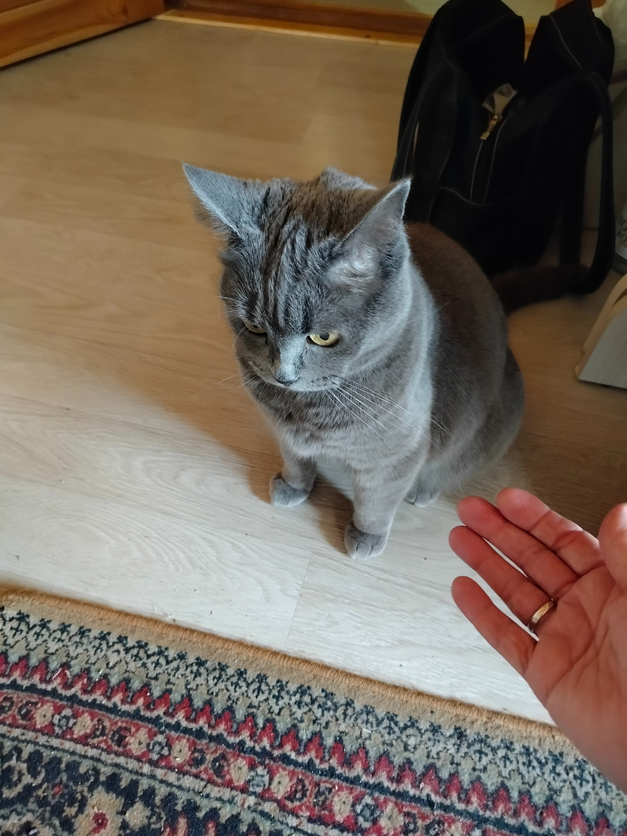 Это Дымка ещё думает, стоит ли меня подпускать