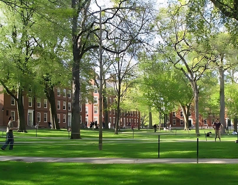 Гарвардский двор