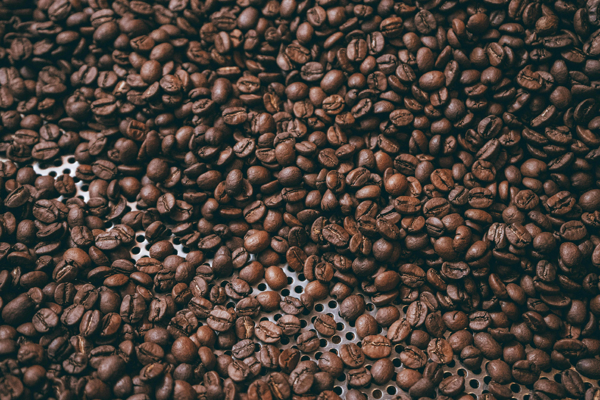 «В каждом зерне — своя история»