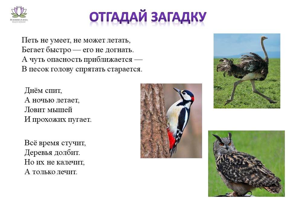 Отгадывание загадок - непростая задача