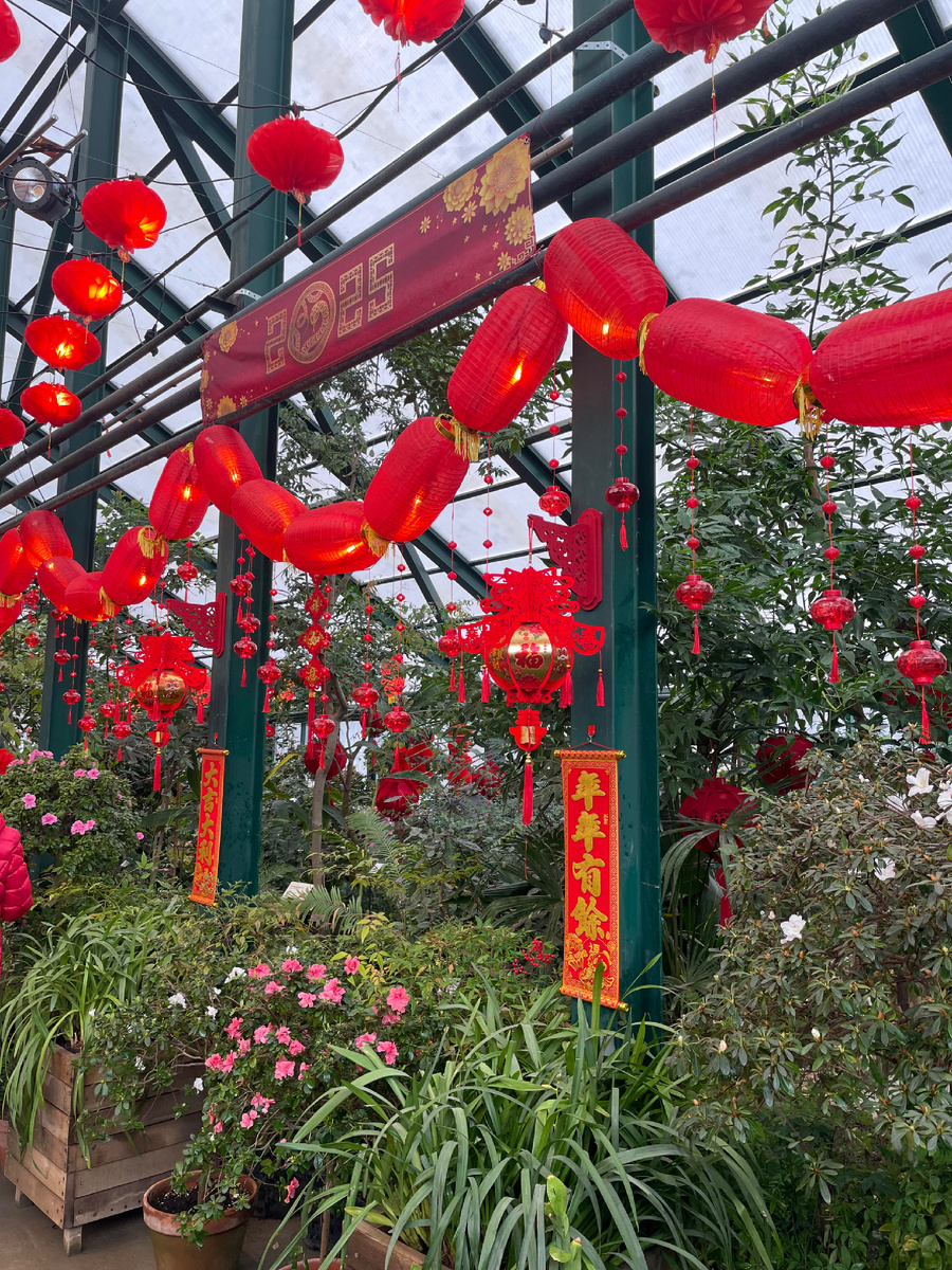 Вы только посмотрите на эту красоту!