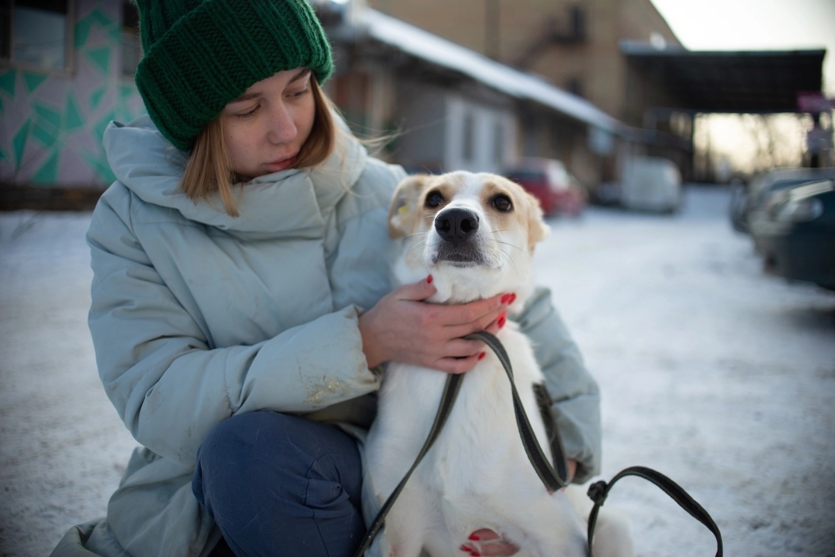    Кто важнее: чужой ребенок или мой питомец?