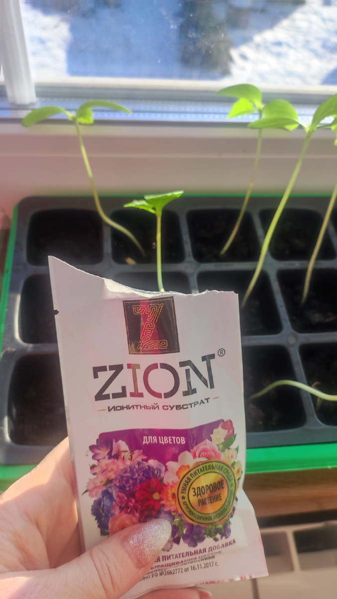 Ткнуть семечко- это одно, а получить урожай,это другое