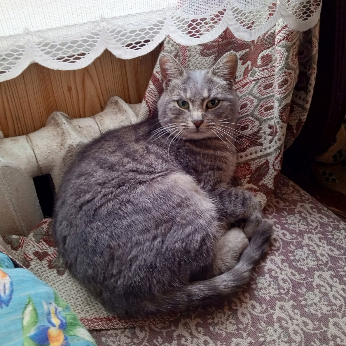 А дома теплее...