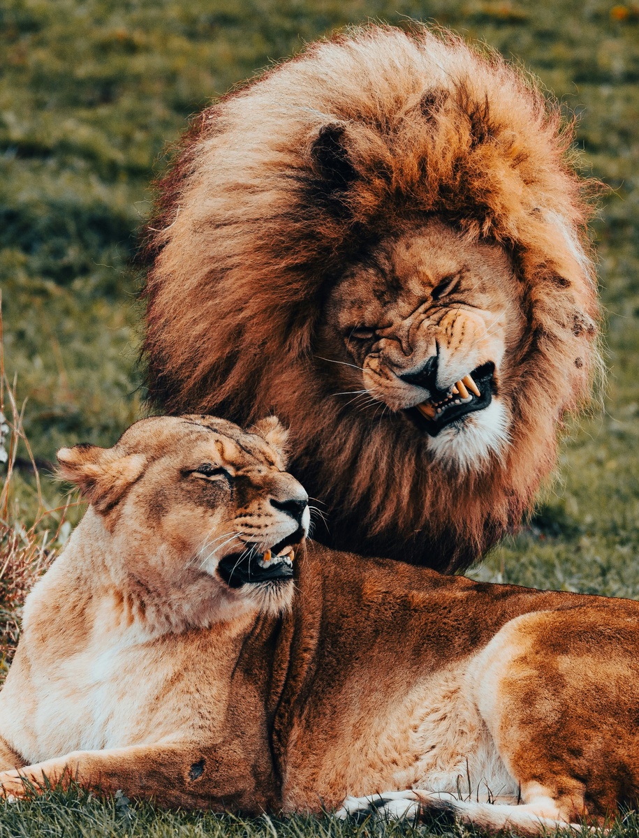 Фото Ханса Хипа