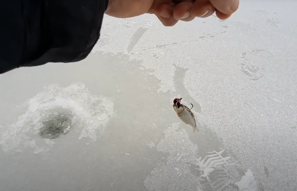 Тюлка на нижнем крючке джиг-головка