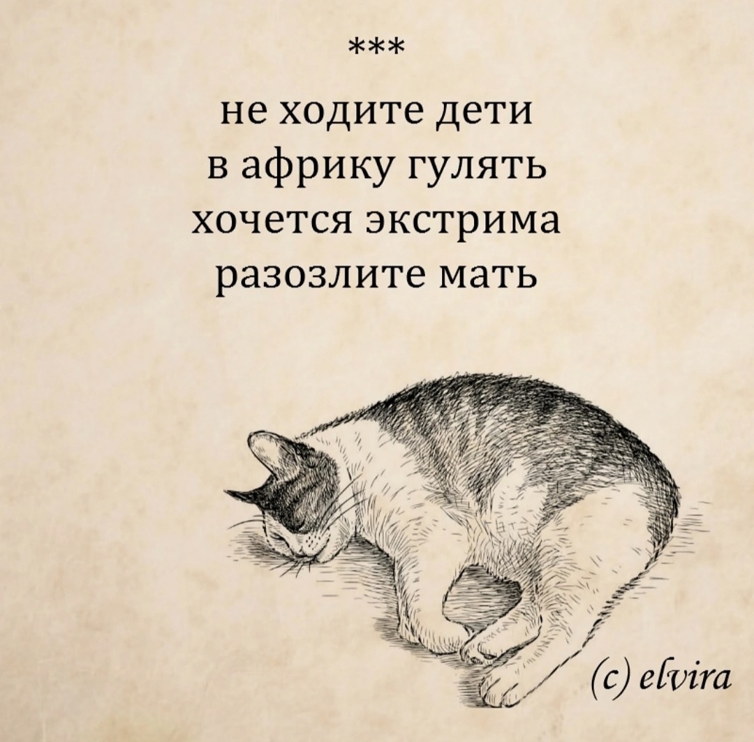 Фото с канала @knigi.irkutsk