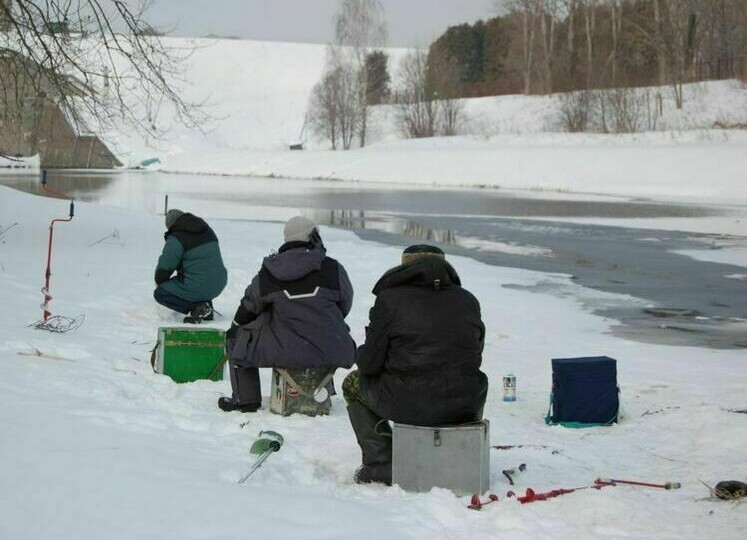 Дай рыбе успокоиться