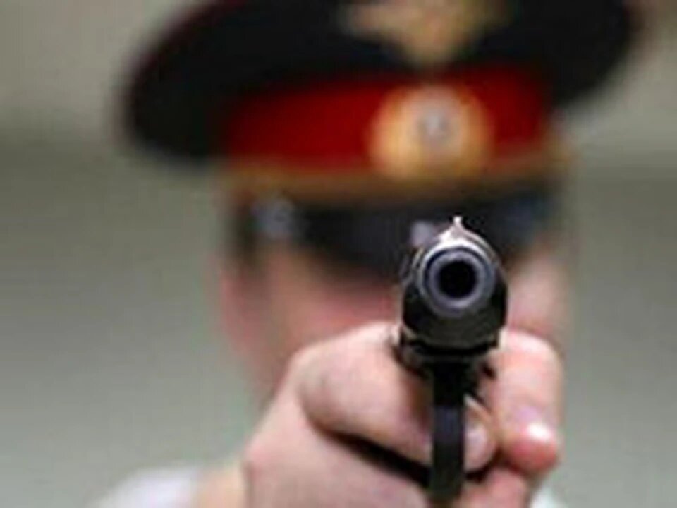 С просторов интернета