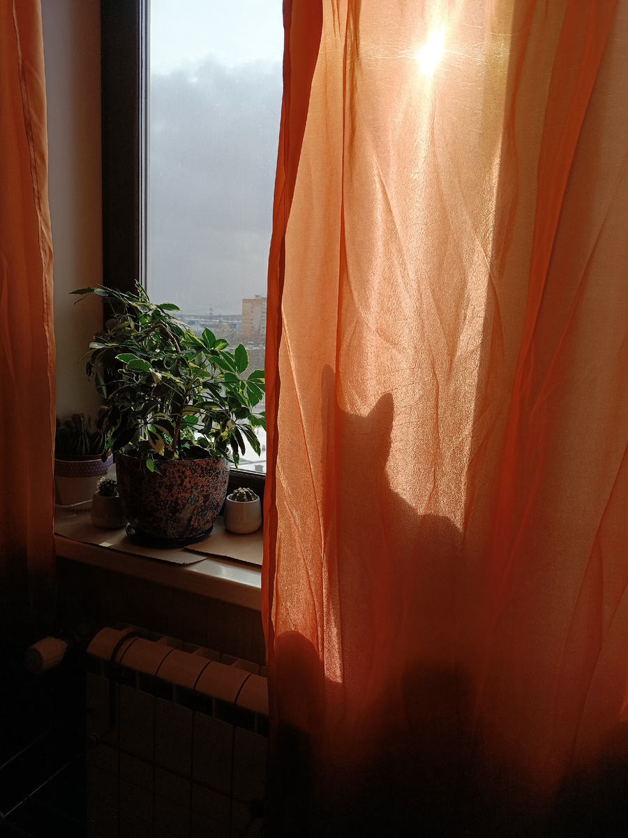 Фото мое. Занавески оранжевые. А какие еще. И мятые. Ненавижу глажку))