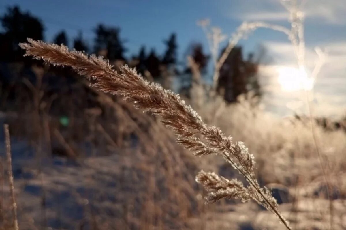    Прогноз по часам.