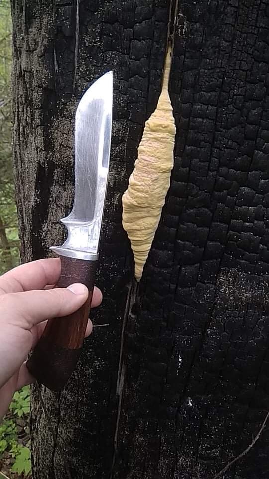 ТСЖ в стадии монтажной пены самый вкусный 