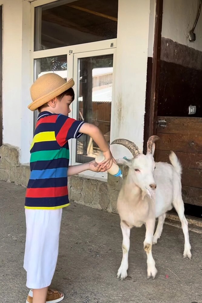    Сын Евгения Петросяна Ваган. Фото: соцсети