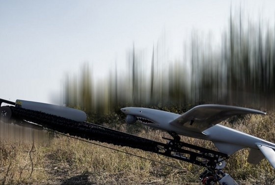    Социальные сети