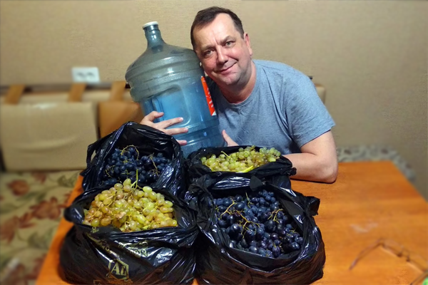 Вино будет без диоксида серы