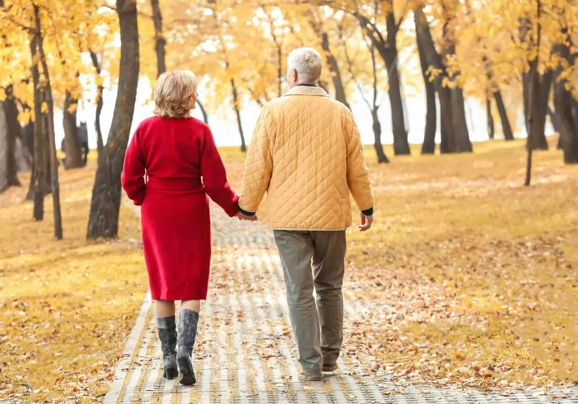 Яндекс картинки