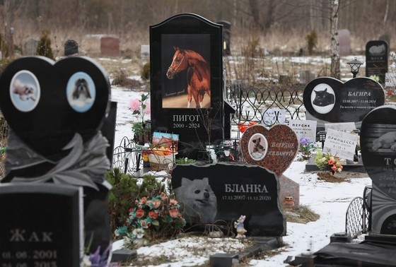    Алексей Белкин/NEWS.ru