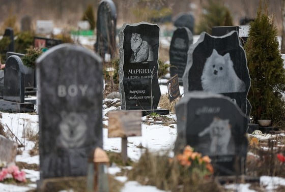    Алексей Белкин/NEWS.ru