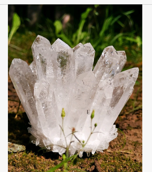 Выращенная друза кварца