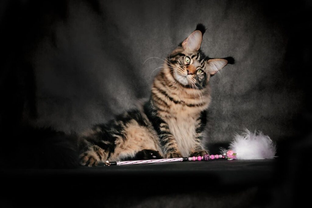    Фото: личный архив Натальи Белованской