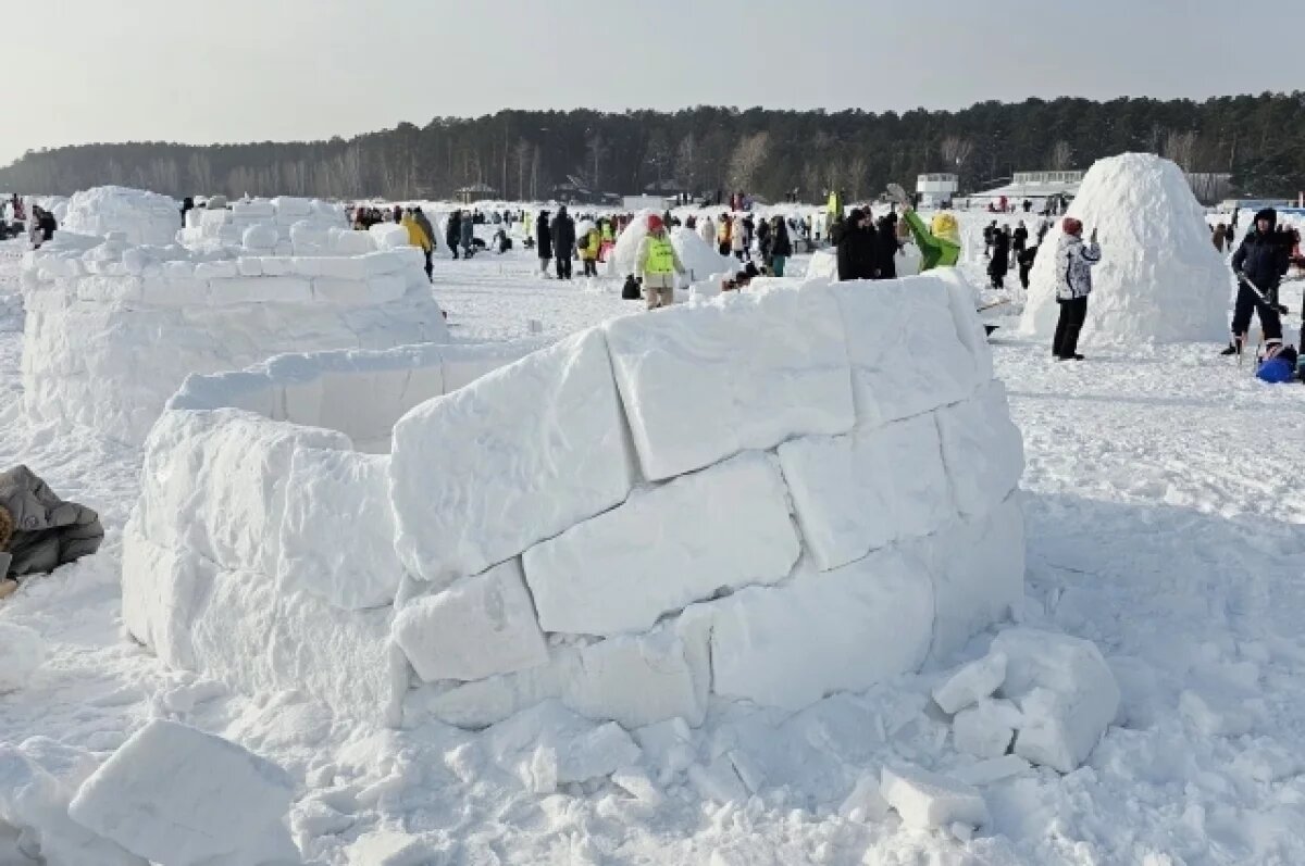    В Новосибирске мейн-кун по кличке Алтай ночевал на льду водохранилища