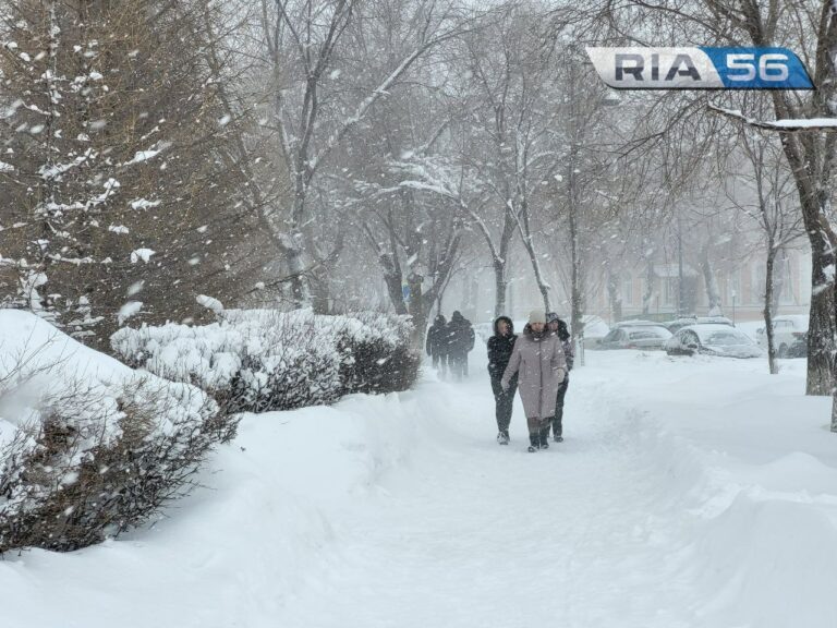    Метель и мокрый снег. Днем, 16 февраля, в Оренбуржье ожидается до -5° Белов Михаил Александрович