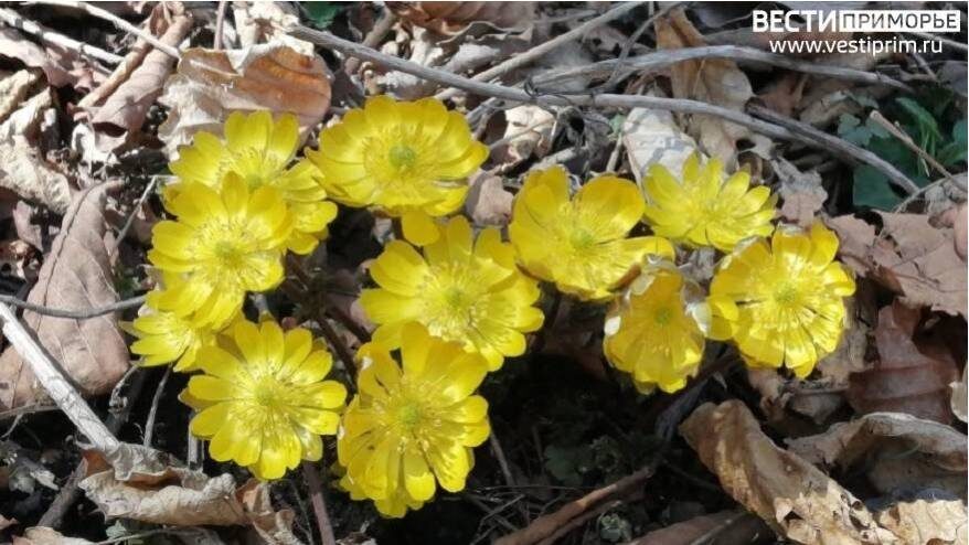    Источник фото: