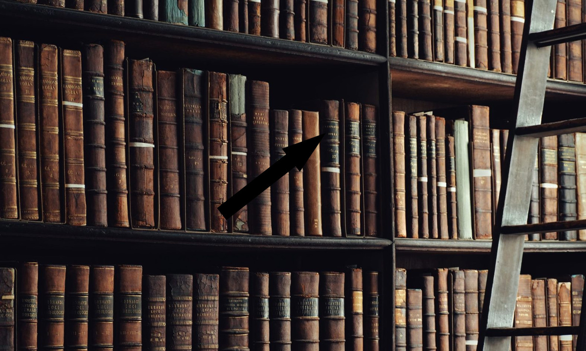    Крушение «Флибусты»: Пиратская библиотека закрывает свои двери навсегда