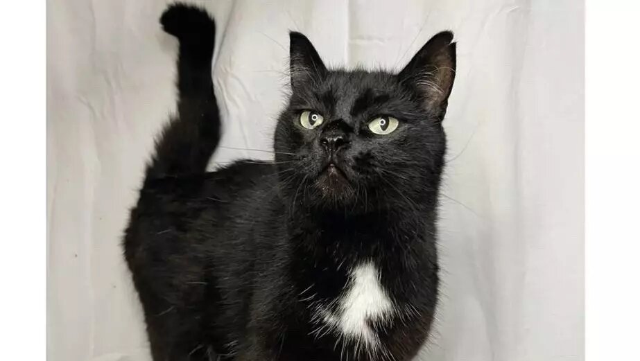     Источник: vk.com/industry_art