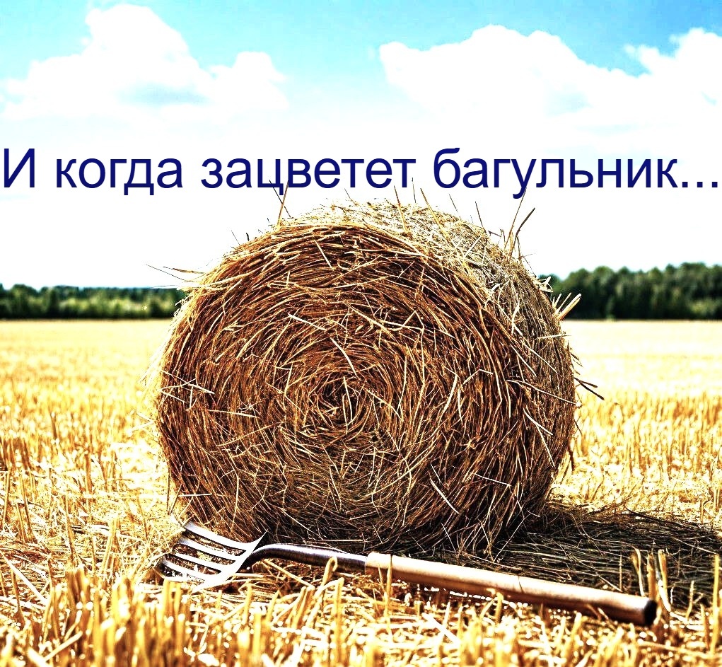 Изображение сгенерировано нейросетью Шедеврум