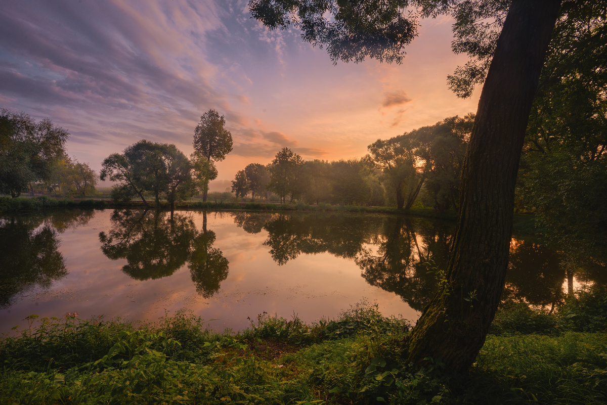 Окружение загородного дома: ожидание / реальность