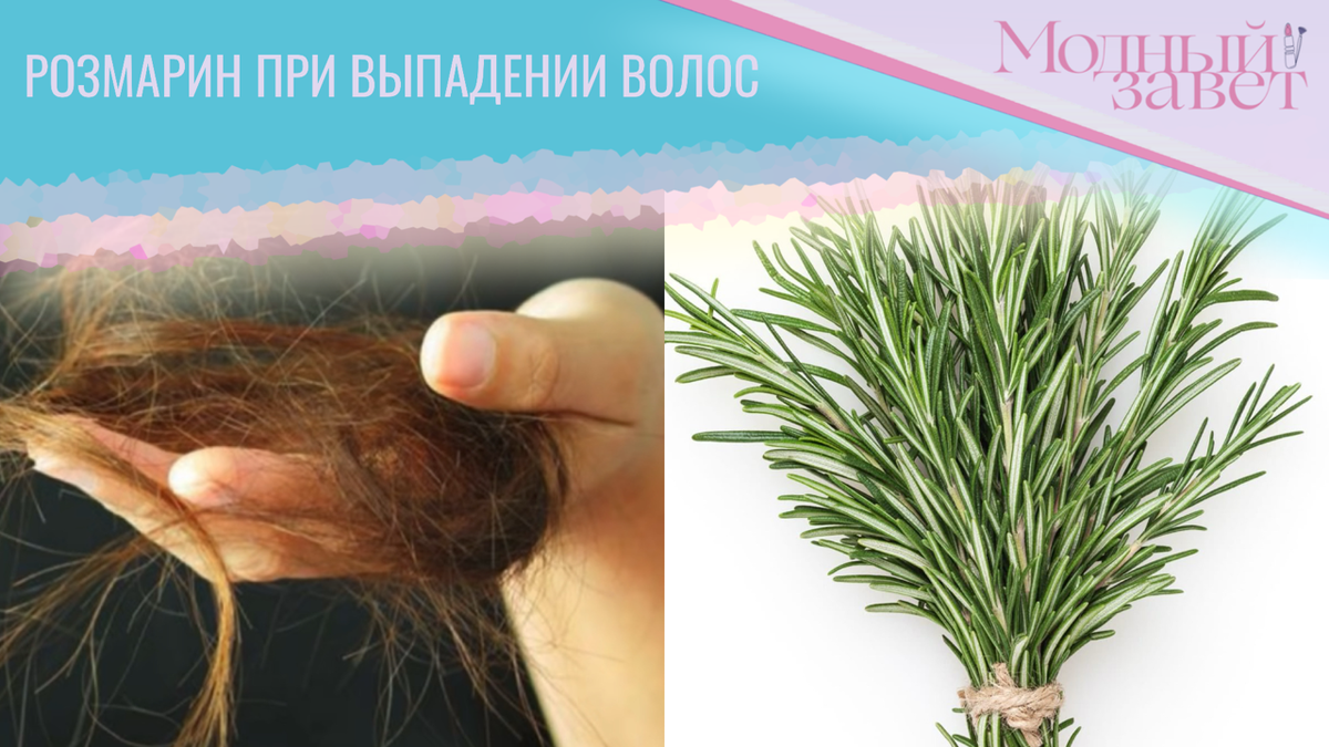 Фото канала Модный завет