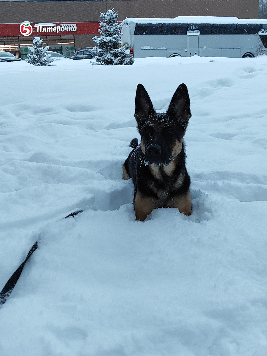 Личное фото