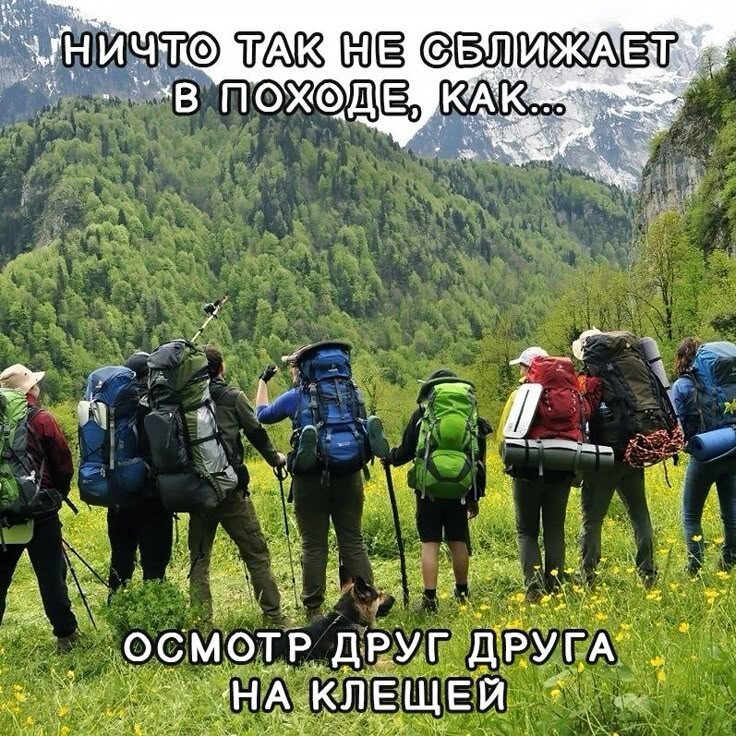 Источник Яндекс Картинки