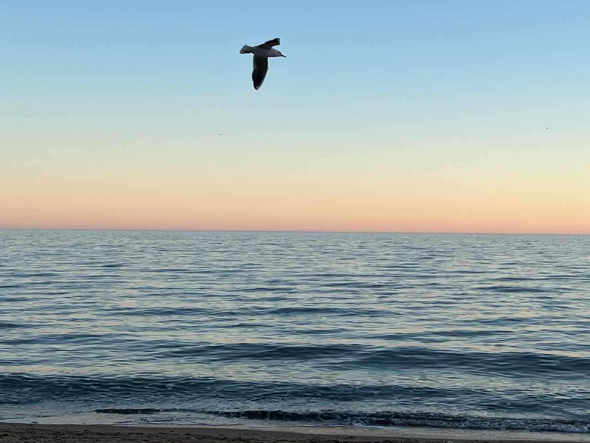 Азовское море