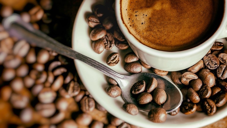    Автор фото: vostock-photo