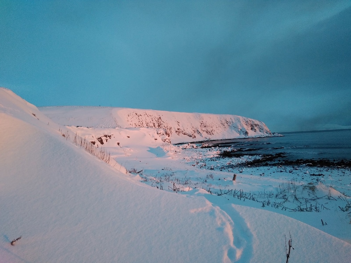 Остров Беринга.  Фото автора.