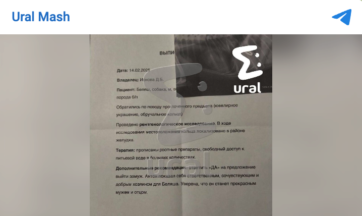    Фото: тг-канал "Ural Mash".
