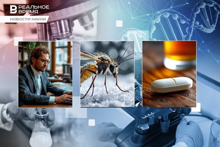 Фото: Реальное время