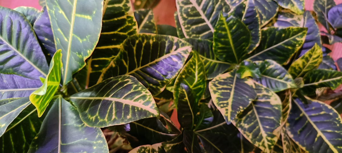 Из личного архива