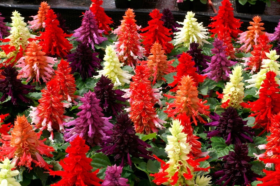 Источник фото: belgorod.stroylandiya.ru