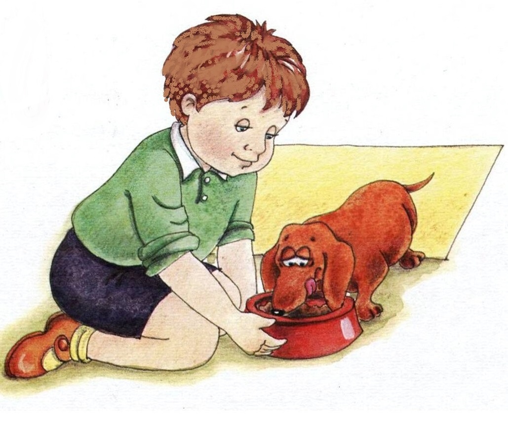 Скачено из открытых источников интернета. 