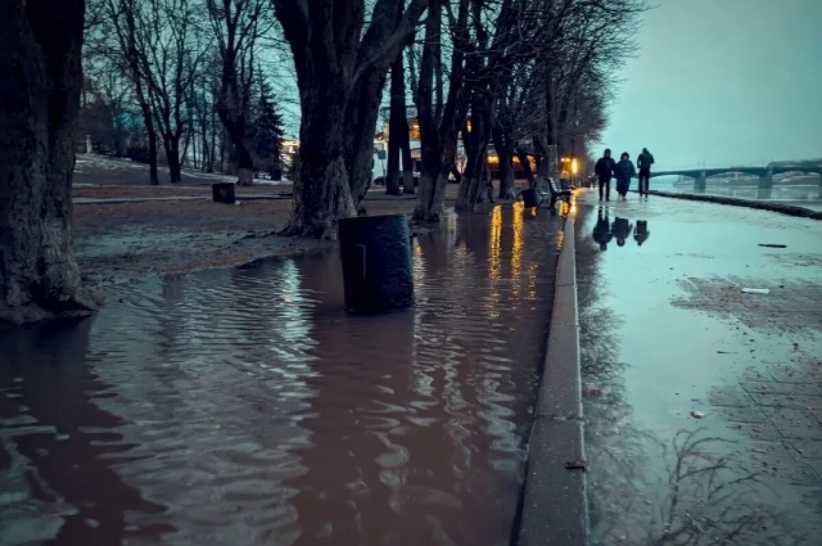    Стало известно, какая погода будет в Нижнем Новгороде весной-2025