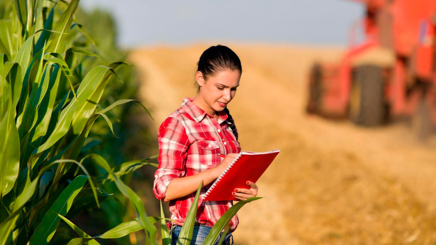     В сельскохозяйственной отрасли Минской области выросла зарплата